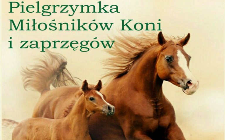 Pielgrzymka Miłośników Koni i Zaprzęgów 2025